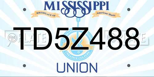 TD5Z488 Mississippi License Plate