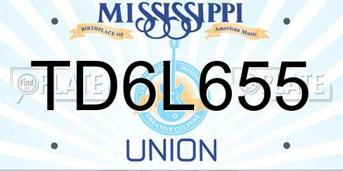 TD6L655 Mississippi License Plate