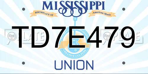 TD7E479 Mississippi License Plate