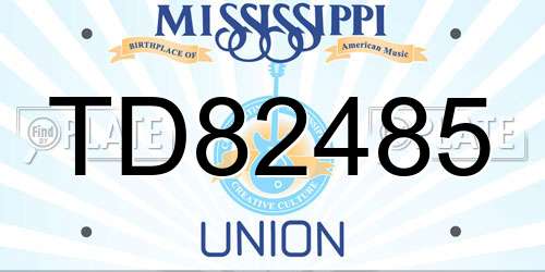 TD82485 Mississippi License Plate
