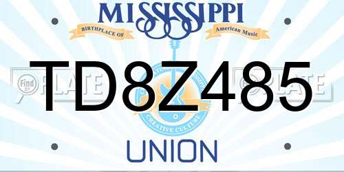 TD8Z485 Mississippi License Plate
