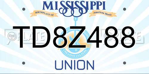 TD8Z488 Mississippi License Plate