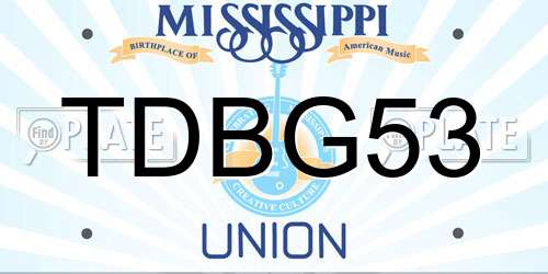 TDBG53 Mississippi License Plate
