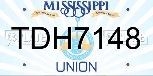 TDH7148 Mississippi License Plate