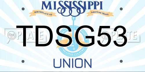 TDSG53 Mississippi License Plate