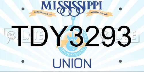 TDY3293 Mississippi License Plate