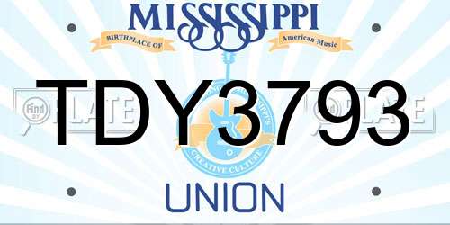 TDY3793 Mississippi License Plate