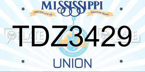 TDZ3429 Mississippi License Plate