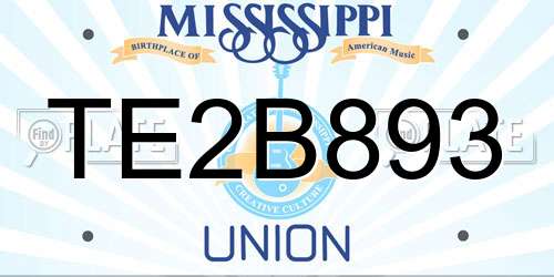 TE2B893 Mississippi License Plate