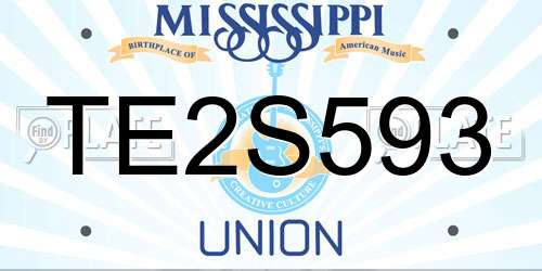 TE2S593 Mississippi License Plate