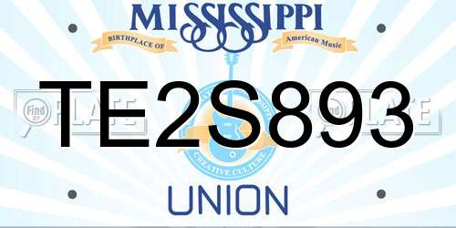 TE2S893 Mississippi License Plate