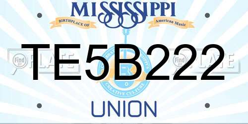 TE5B222 Mississippi License Plate
