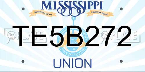 TE5B272 Mississippi License Plate