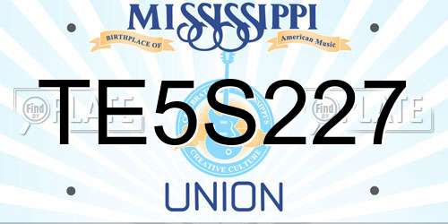 TE5S227 Mississippi License Plate