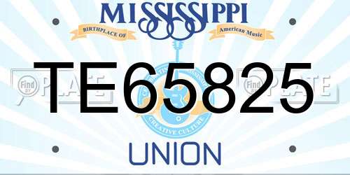 TE65825 Mississippi License Plate