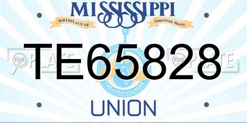 TE65828 Mississippi License Plate