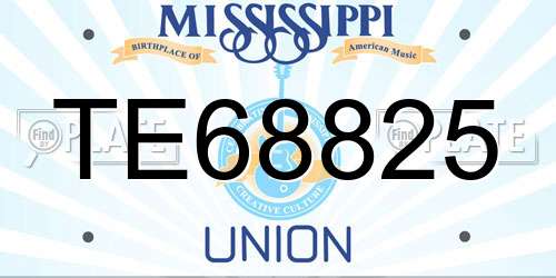 TE68825 Mississippi License Plate