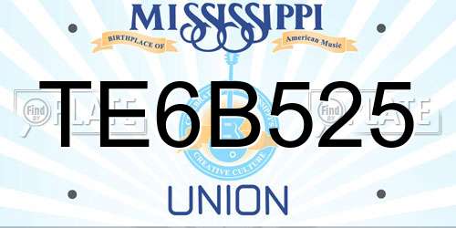 TE6B525 Mississippi License Plate