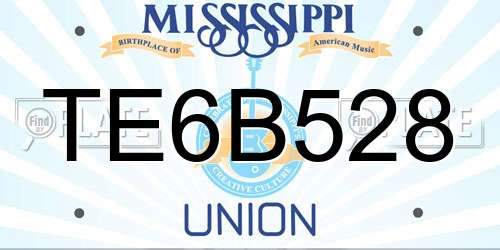 TE6B528 Mississippi License Plate
