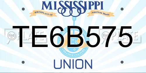 TE6B575 Mississippi License Plate