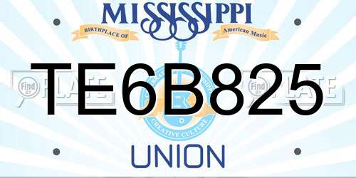 TE6B825 Mississippi License Plate