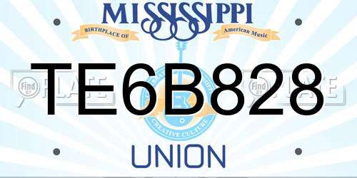 TE6B828 Mississippi License Plate