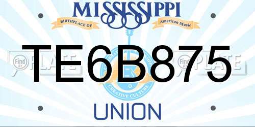 TE6B875 Mississippi License Plate