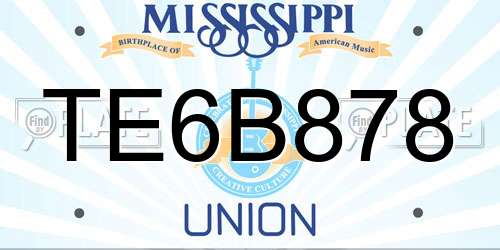 TE6B878 Mississippi License Plate