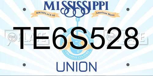 TE6S528 Mississippi License Plate
