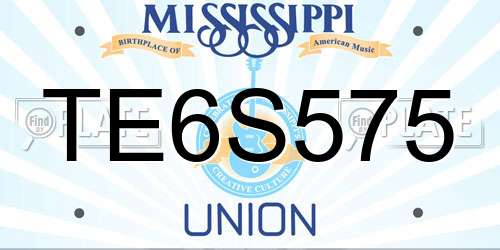 TE6S575 Mississippi License Plate