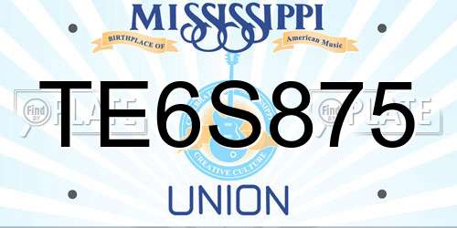 TE6S875 Mississippi License Plate