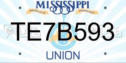 TE7B593 Mississippi License Plate
