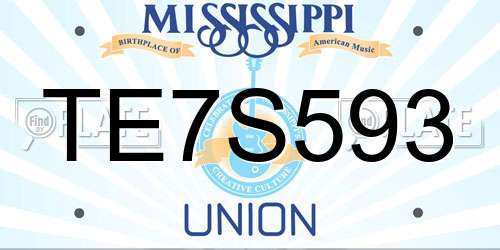 TE7S593 Mississippi License Plate