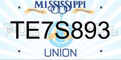 TE7S893 Mississippi License Plate