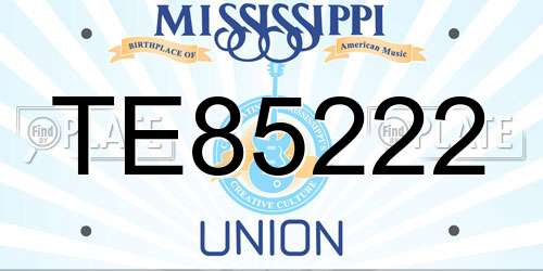 TE85222 Mississippi License Plate