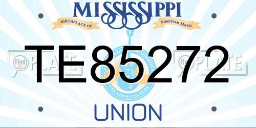 TE85272 Mississippi License Plate