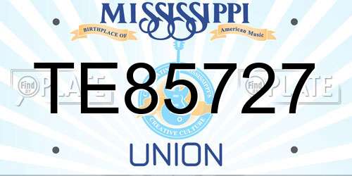 TE85727 Mississippi License Plate