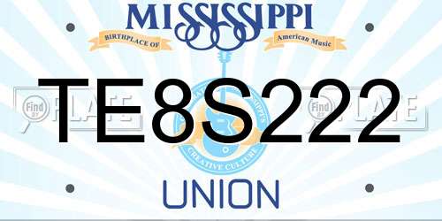 TE8S222 Mississippi License Plate