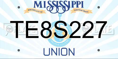 TE8S227 Mississippi License Plate