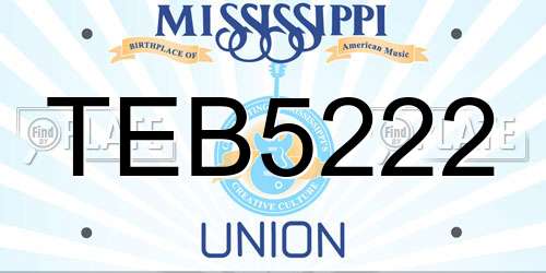 TEB5222 Mississippi License Plate