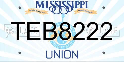 TEB8222 Mississippi License Plate