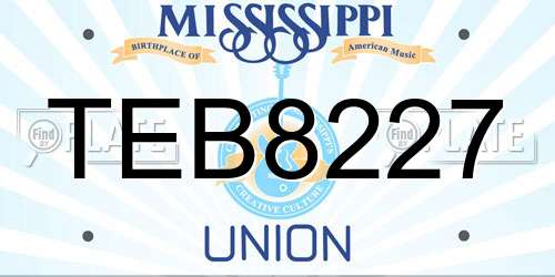 TEB8227 Mississippi License Plate