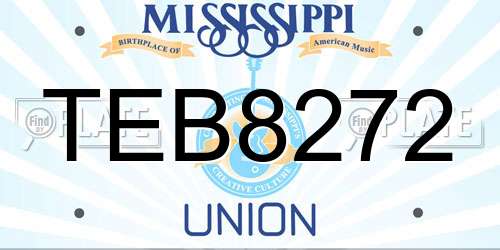 TEB8272 Mississippi License Plate
