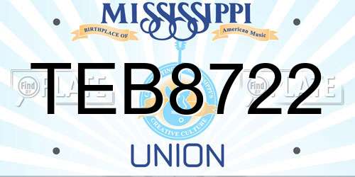 TEB8722 Mississippi License Plate