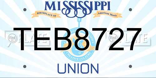 TEB8727 Mississippi License Plate