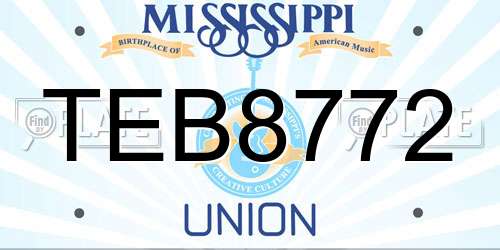 TEB8772 Mississippi License Plate
