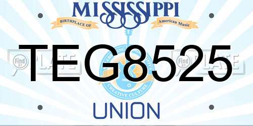 TEG8525 Mississippi License Plate