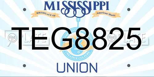 TEG8825 Mississippi License Plate