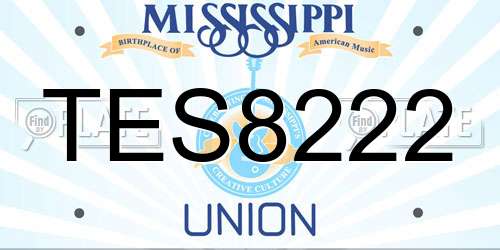 TES8222 Mississippi License Plate