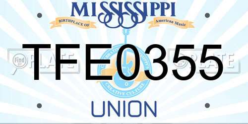 TFE0355 Mississippi License Plate